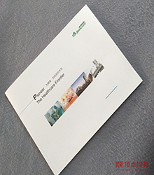  ߙn(hu)ӡˢS(chng)